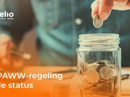 De PAWW-regeling en de status